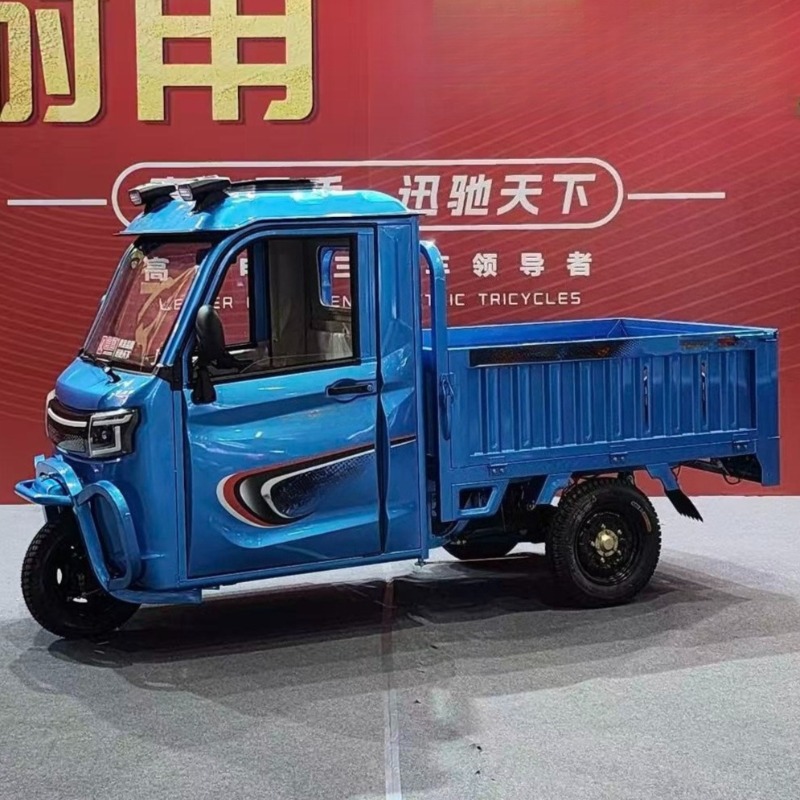 Electric Cargo Tricycle 800W M - đánh giá và giá Electric Scooter Adults